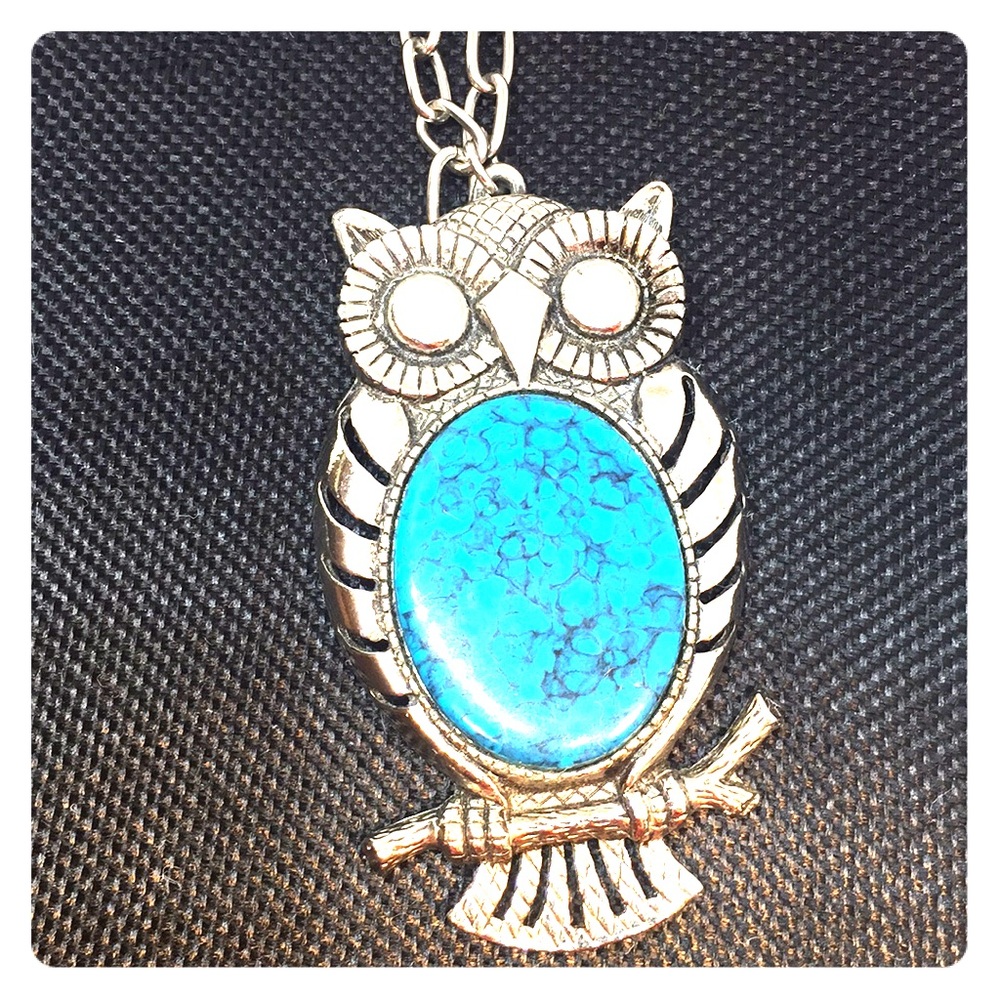 Silvertone Chain w/ Large Owl Pendant